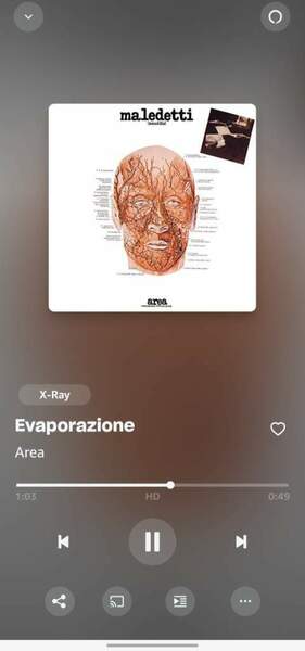 Screenshot_20240410_234300_Amazon Music.jpg