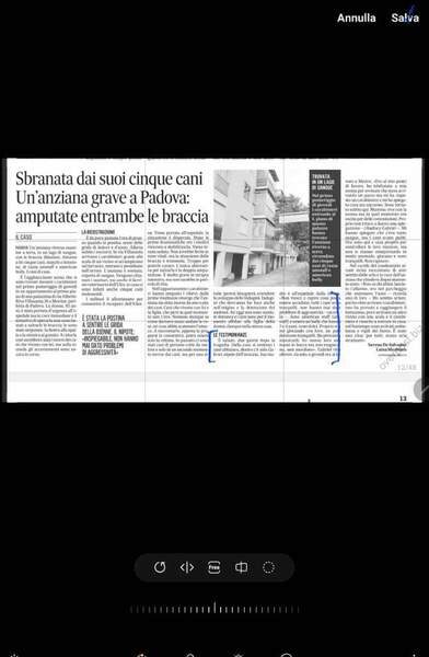 Screenshot_20240421_154631_Photo Editor.jpg