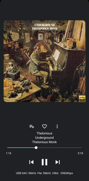 Screenshot_2024-05-06-00-56-09-115_com.extreamsd.usbaudioplayerpro-edit.thumb.jpg.bef21c8e8921ec3fa78736f550a398c9.jpg