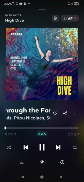 Screenshot_2024-05-16-20-29-24-207_com.aspiro.tidal.jpg
