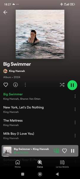 Screenshot_2024-06-14-18-27-28-539_com.spotify.music.jpg