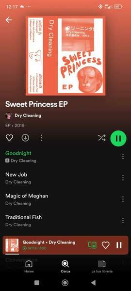 Screenshot_2024-06-15-12-17-42-345_com.spotify.music.jpg