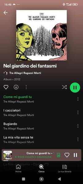Screenshot_2024-06-15-16-46-09-783_com.spotify.music.jpg