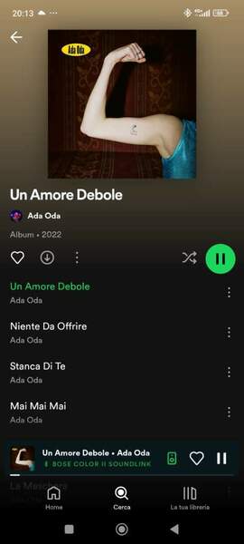 Screenshot_2024-06-15-20-13-46-243_com.spotify.music.jpg