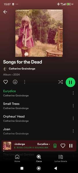 Screenshot_2024-06-16-15-07-09-330_com.spotify.music.jpg