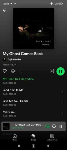 Screenshot_2024-06-16-22-16-53-561_com.spotify.music.jpg