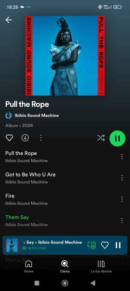 Screenshot_2024-06-21-18-28-54-317_com.spotify.music.jpg