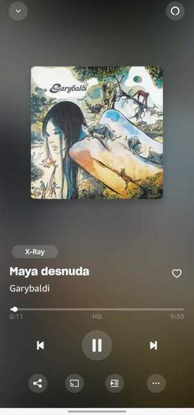 Screenshot_20240613_213443_Amazon Music.jpg