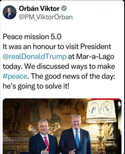 Screenshot 2024-07-14 at 16-26-53 Daniel Freund (@daniel_freund) _ X.png