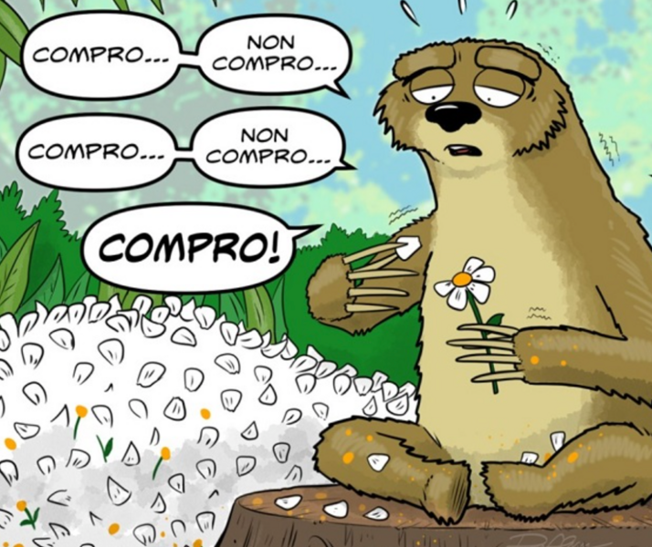 Screenshot 2024-07-27 alle 12.56.58.png