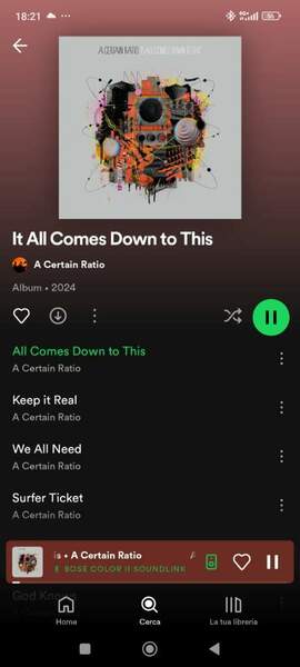 Screenshot_2024-07-20-18-21-00-815_com.spotify.music.jpg