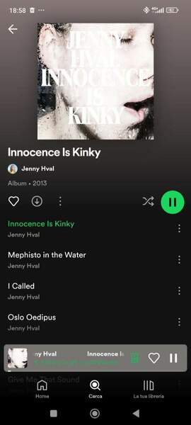 Screenshot_2024-07-20-18-58-22-009_com.spotify.music.jpg