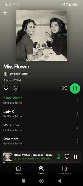 Screenshot_2024-07-28-16-19-58-812_com.spotify.music.jpg