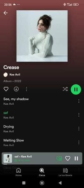 Screenshot_2024-08-19-20-56-58-755_com.spotify.music.jpg