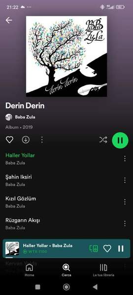 Screenshot_2024-08-22-21-22-48-021_com.spotify.music.jpg