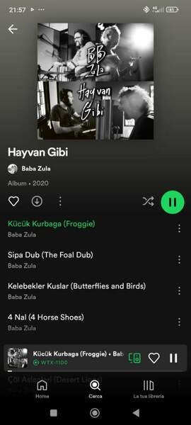 Screenshot_2024-08-22-21-57-01-000_com.spotify.music.jpg