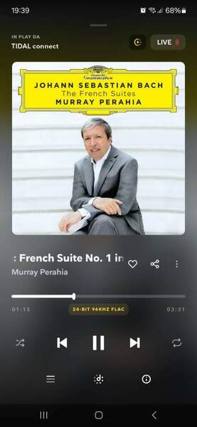 Screenshot_20240802_193903_TIDAL.jpg