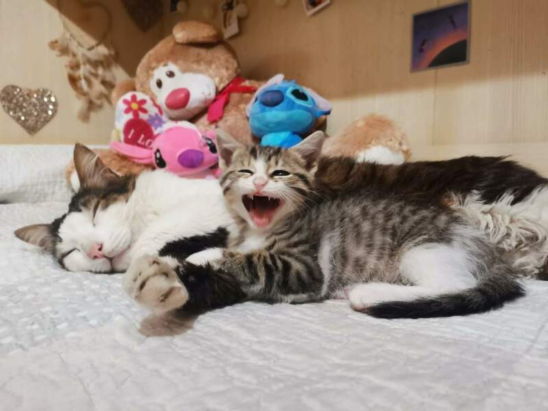 WhatsApp Image 2023-06-05 at 00.39.19.jpeg