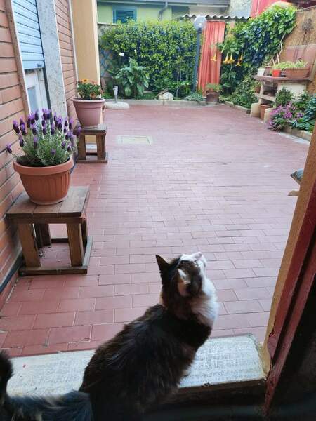 WhatsApp Image 2024-08-14 at 17.35.14 (1).jpeg