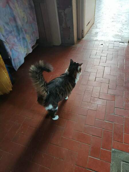 WhatsApp Image 2024-08-14 at 17.35.14 (2).jpeg