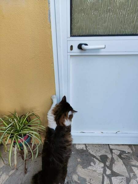 WhatsApp Image 2024-08-14 at 17.35.15 (1).jpeg