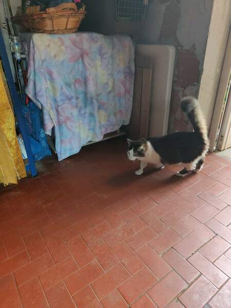 WhatsApp Image 2024-08-14 at 17.35.15 (2).jpeg