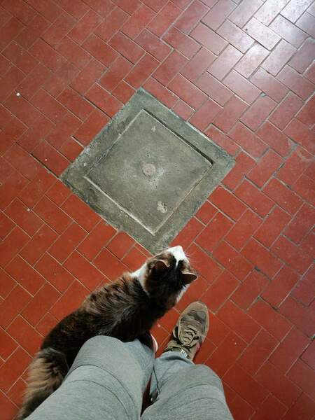 WhatsApp Image 2024-08-14 at 17.35.15 (4).jpeg