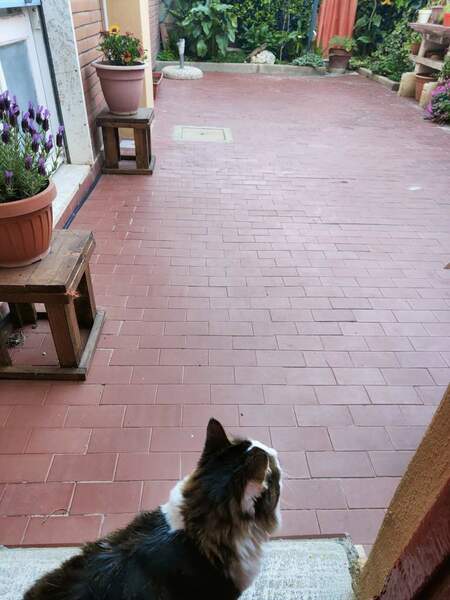 WhatsApp Image 2024-08-14 at 17.35.15.jpeg