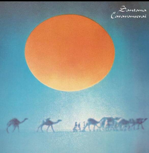 2023-04-12 11.33.48.jpg