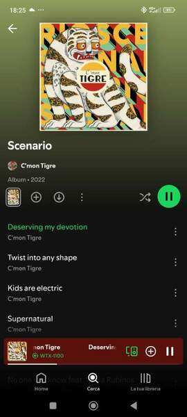 Screenshot_2024-09-13-18-25-58-880_com.spotify.music.jpg