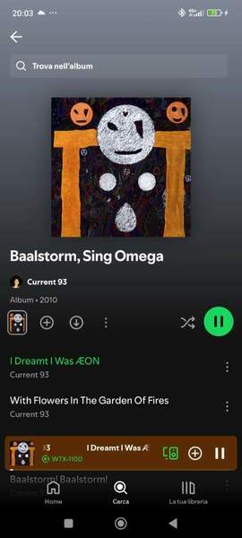 Screenshot_2024-09-14-20-03-03-172_com.spotify.music.jpg