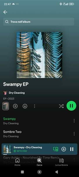 Screenshot_2024-09-14-22-47-17-110_com.spotify.music.jpg