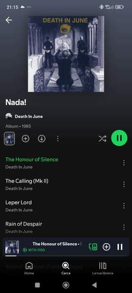 Screenshot_2024-09-17-21-15-23-557_com.spotify.music.jpg