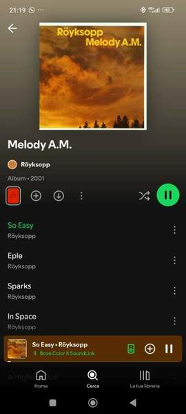 Screenshot_2024-09-21-21-19-38-068_com.spotify.music.jpg