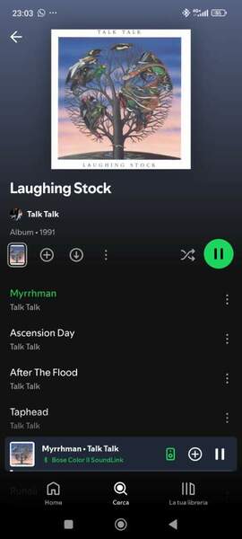 Screenshot_2024-09-21-23-03-16-332_com.spotify.music.jpg