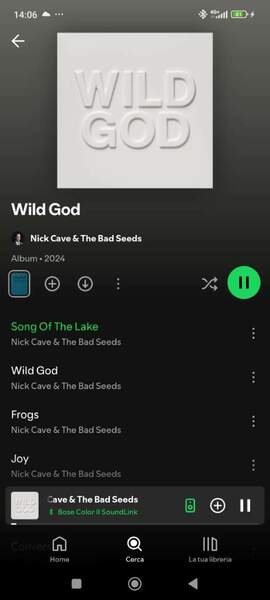 Screenshot_2024-09-22-14-06-21-941_com.spotify.music.jpg