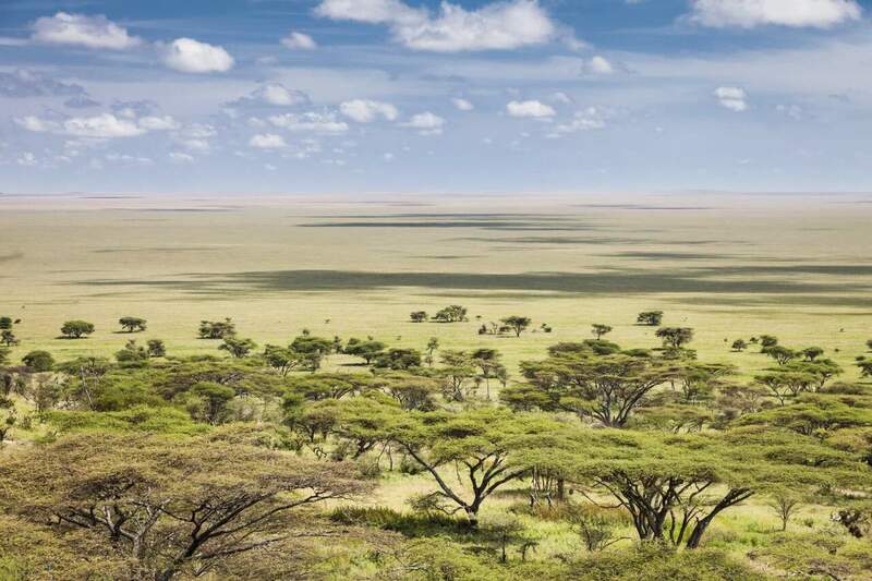 Aerial-view-of-Serengeti-National-Park-Easy-Travel-Tanzania-2048x1365.thumb.jpg.16890718f743484527cda8c3b7b79e81.jpg
