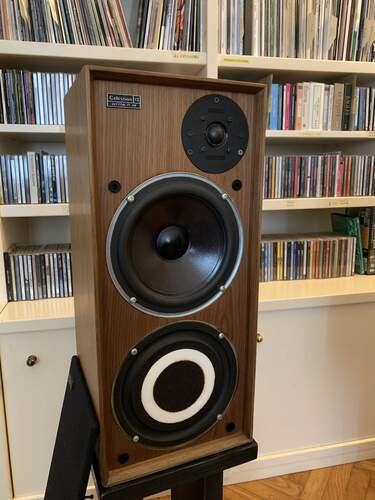 Maggiori informazioni su "Celestion Ditton 15 Xr"