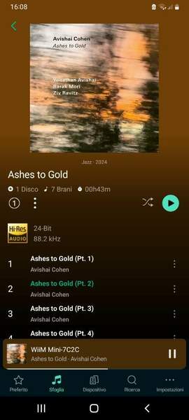 Screenshot_20241012-160845_WiiM Home.jpg