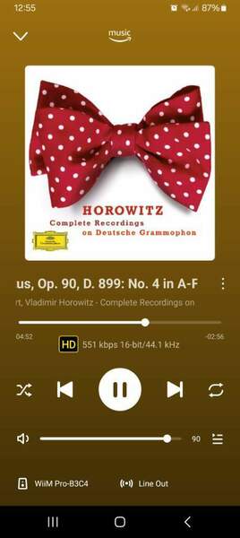 Screenshot_20241019_125521_WiiM Home.jpg