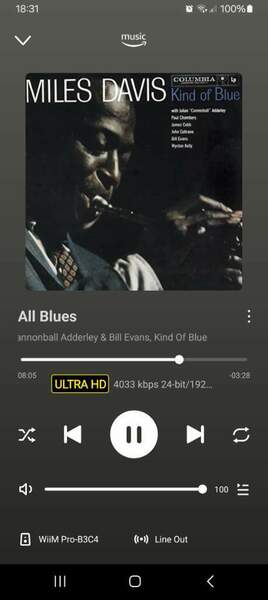 Screenshot_20241022_183126_WiiM Home.jpg