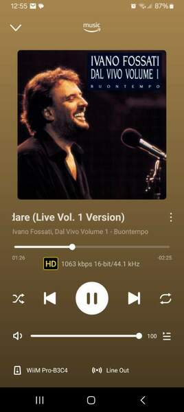 Screenshot_20241023_125508_WiiM Home.jpg