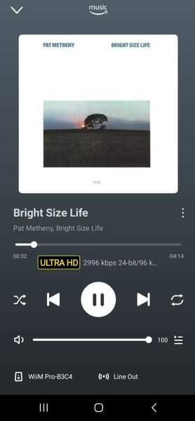 Screenshot_20241025_114552_WiiM Home.jpg