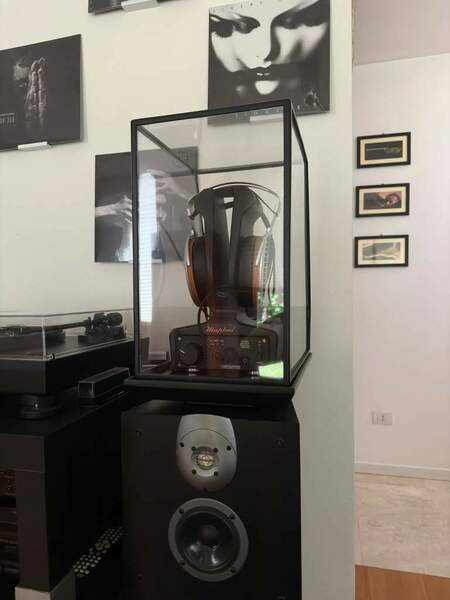 WhatsApp Image 2024-10-08 at 16.56.03.jpeg