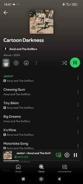 Screenshot_2024-11-10-18-47-18-520_com.spotify.music.jpg