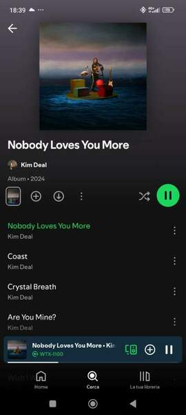 Screenshot_2024-11-30-18-39-26-550_com.spotify.music.jpg