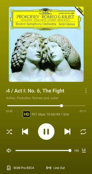 Screenshot_20241102_151600_WiiM Home.jpg