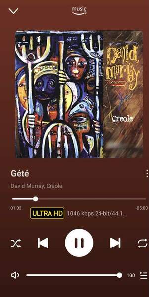 Screenshot_20241106_161206_WiiM Home.jpg