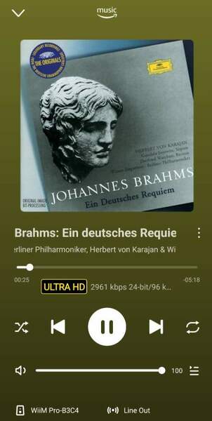 Screenshot_20241118_112342_WiiM Home.jpg