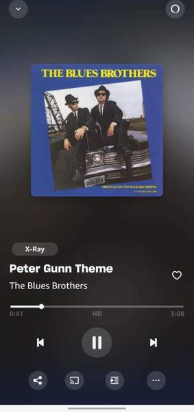 Screenshot_20241118_223527_Amazon Music.jpg